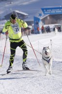 Lenk 2013
